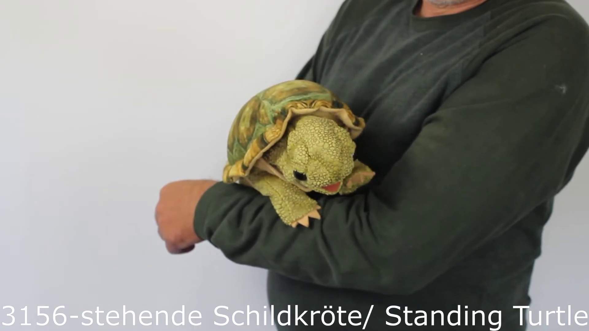 Video 1: Folkmanis Handpuppe stehende Schildkröte