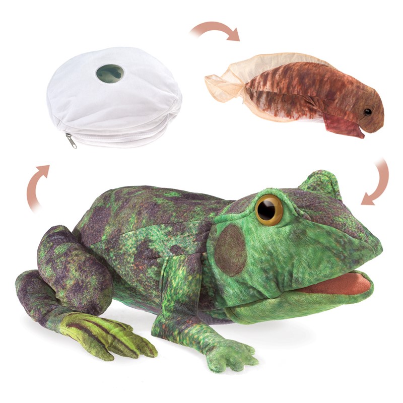 Folkmanis hand puppet frog life cycle