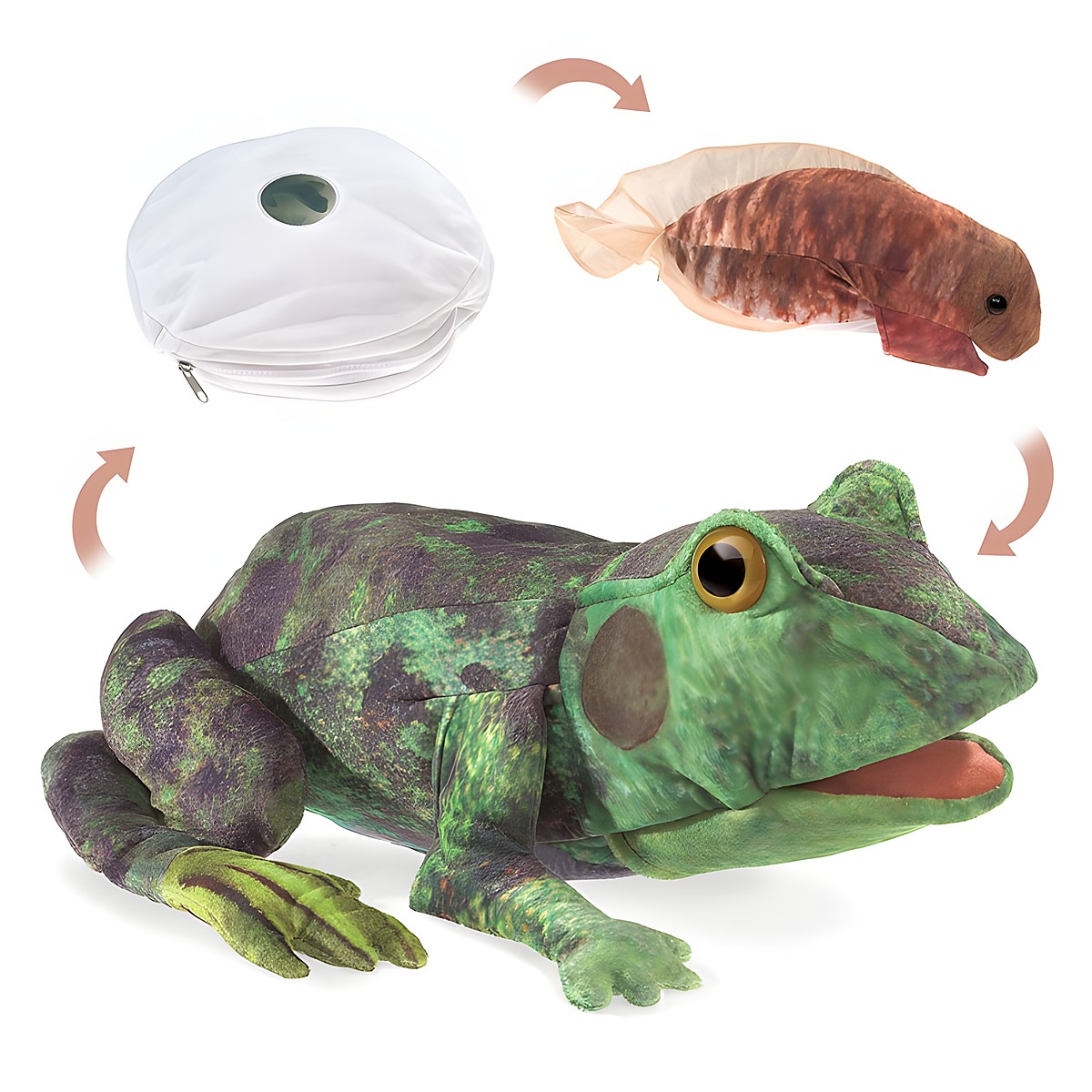 Folkmanis Handpuppe Metamorphose Frosch in drei Entwicklungsstufen: Ei, Kaulquappe und ausgewachsener grüner Frosch mit beweglichem Maul.
