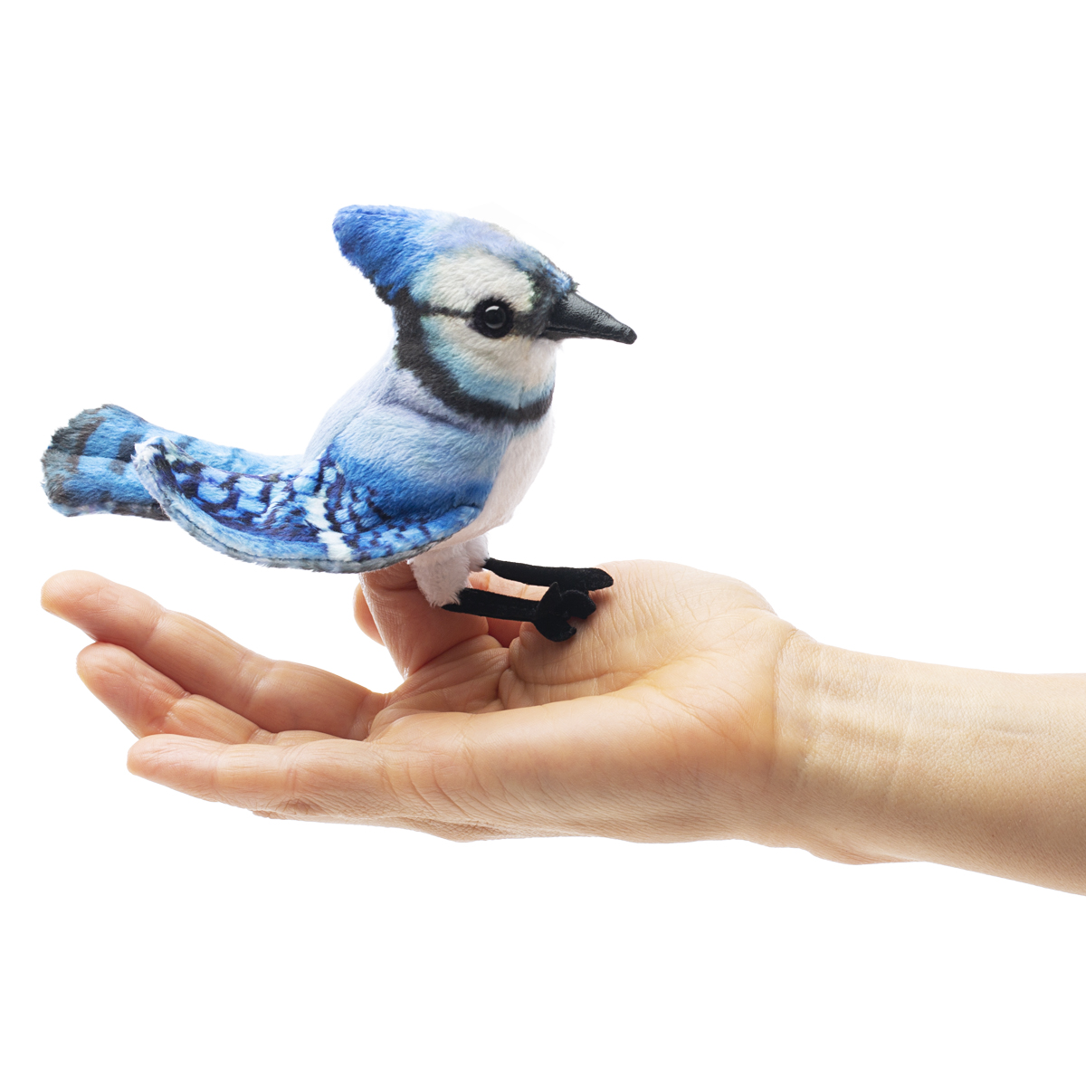 Folkmanis Fingerpuppe mini Blauhäher sitzt auf einem Zeigefinger, Seitenansicht mit blauem Gefieder und schwarzem Schnabel.