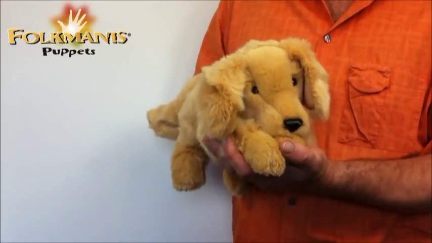 Video 2: Folkmanis Golden Retriever Puppy Hand Puppet