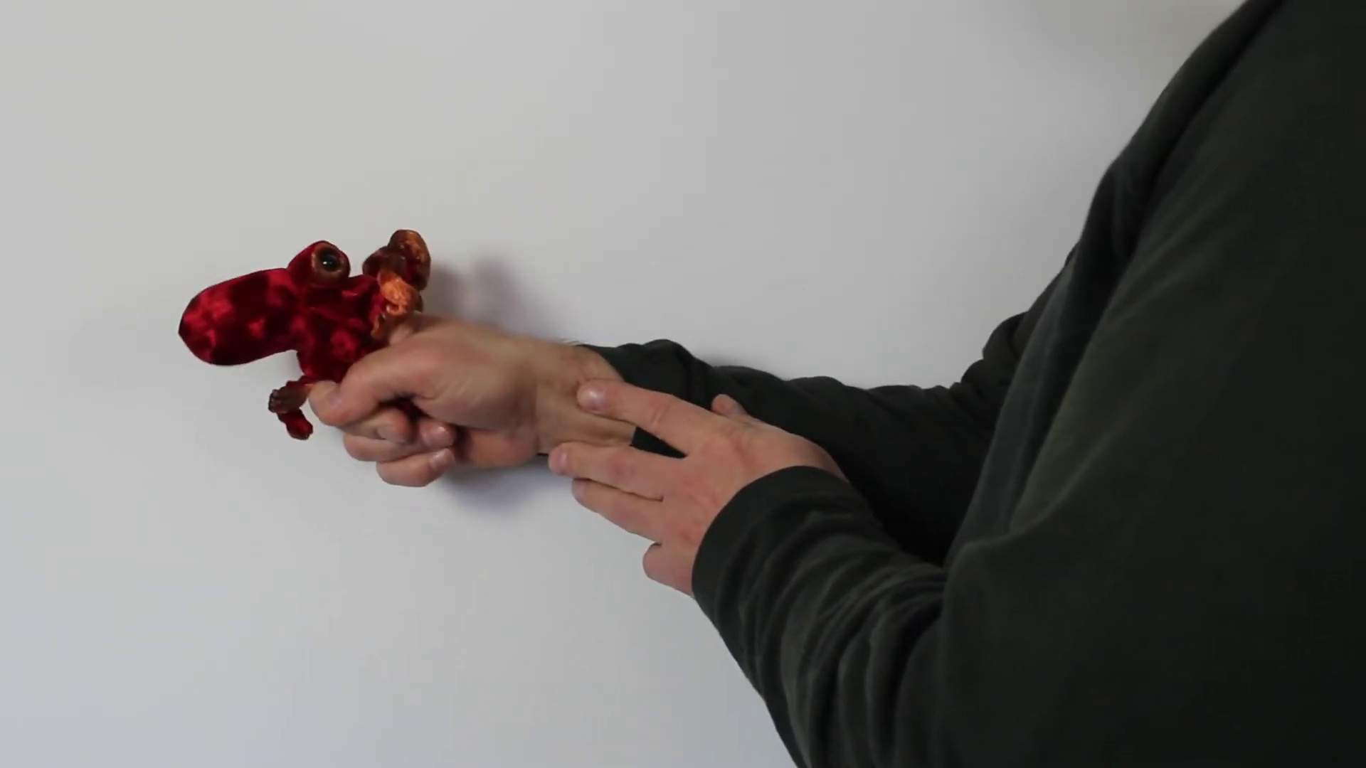 Video 1: Folkmanis Fingerpuppe mini Oktopus
