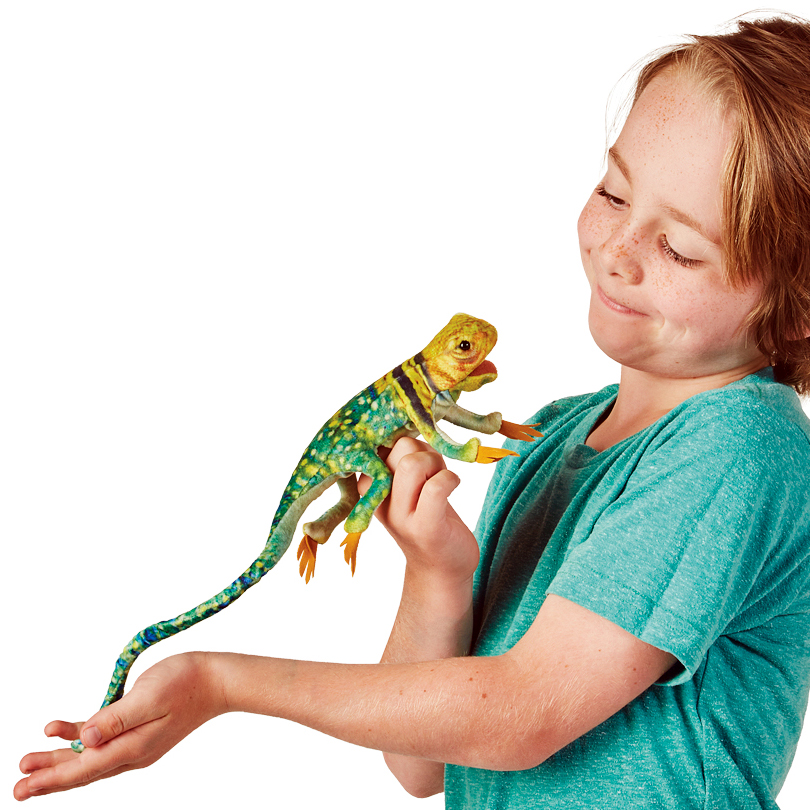 Folkmanis Fingerpuppe mini Kragenechse in Grün-Gelb auf dem Finger eines Kindes, langes Plüsch-Schwänzchen hängt über den Arm