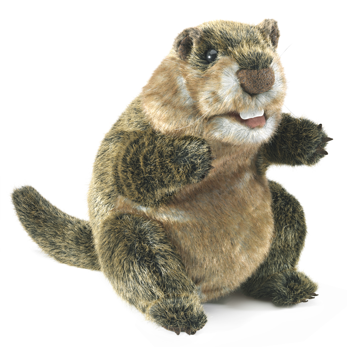 Folkmanis hand puppet groundhog