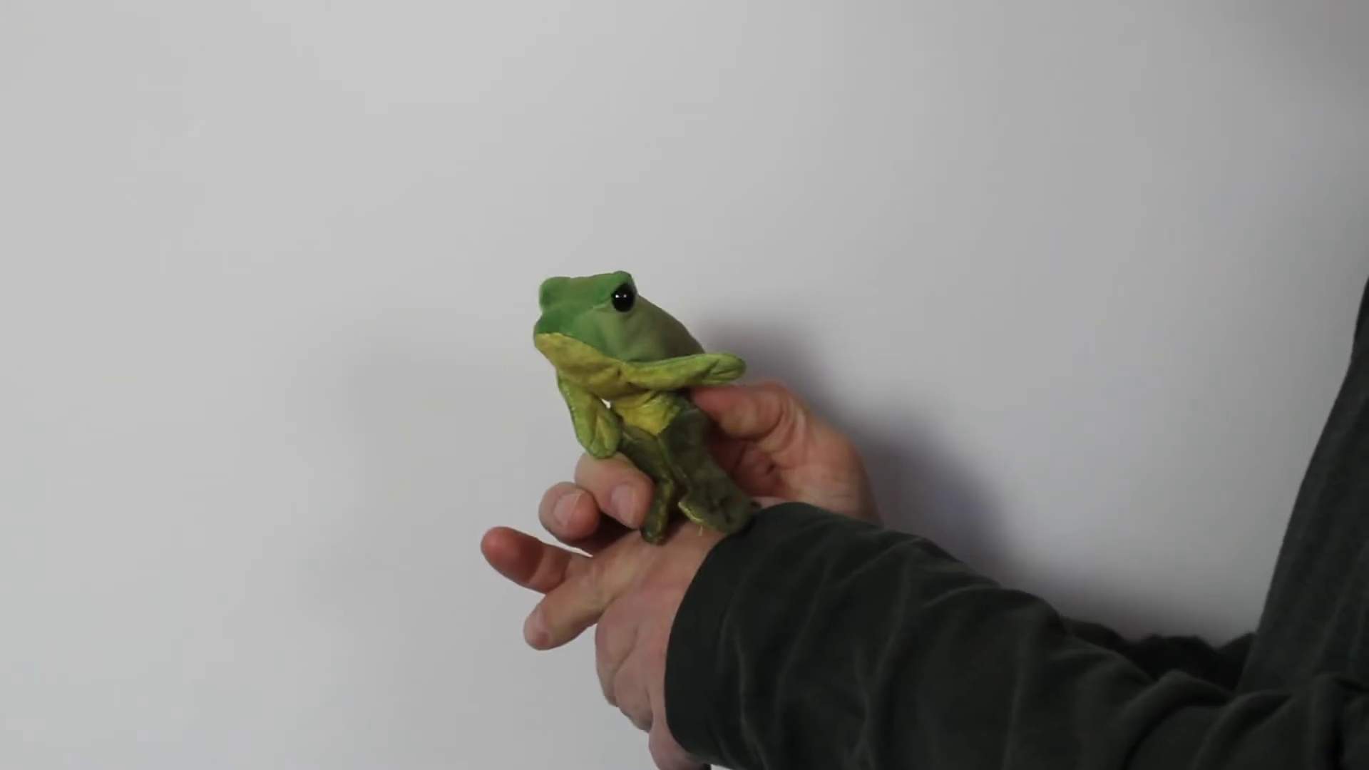 Video 1: Folkmanis Fingerpuppe mini sitzender Frosch