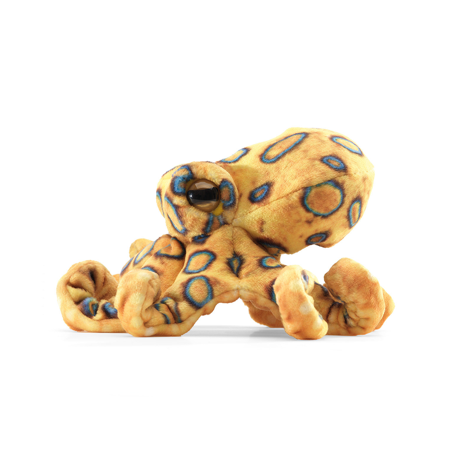 Folkmanis Fingerpuppe mini blaugeringelte Krake in Goldgelb mit blauen Ringen, großem Glasauge, Schrägansicht