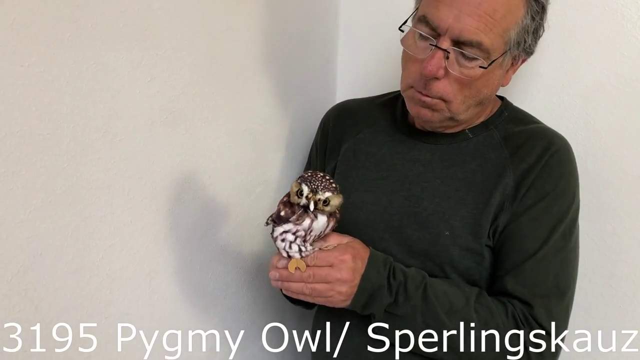 Video 2: Folkmanis Handpuppe Sperlingskauz