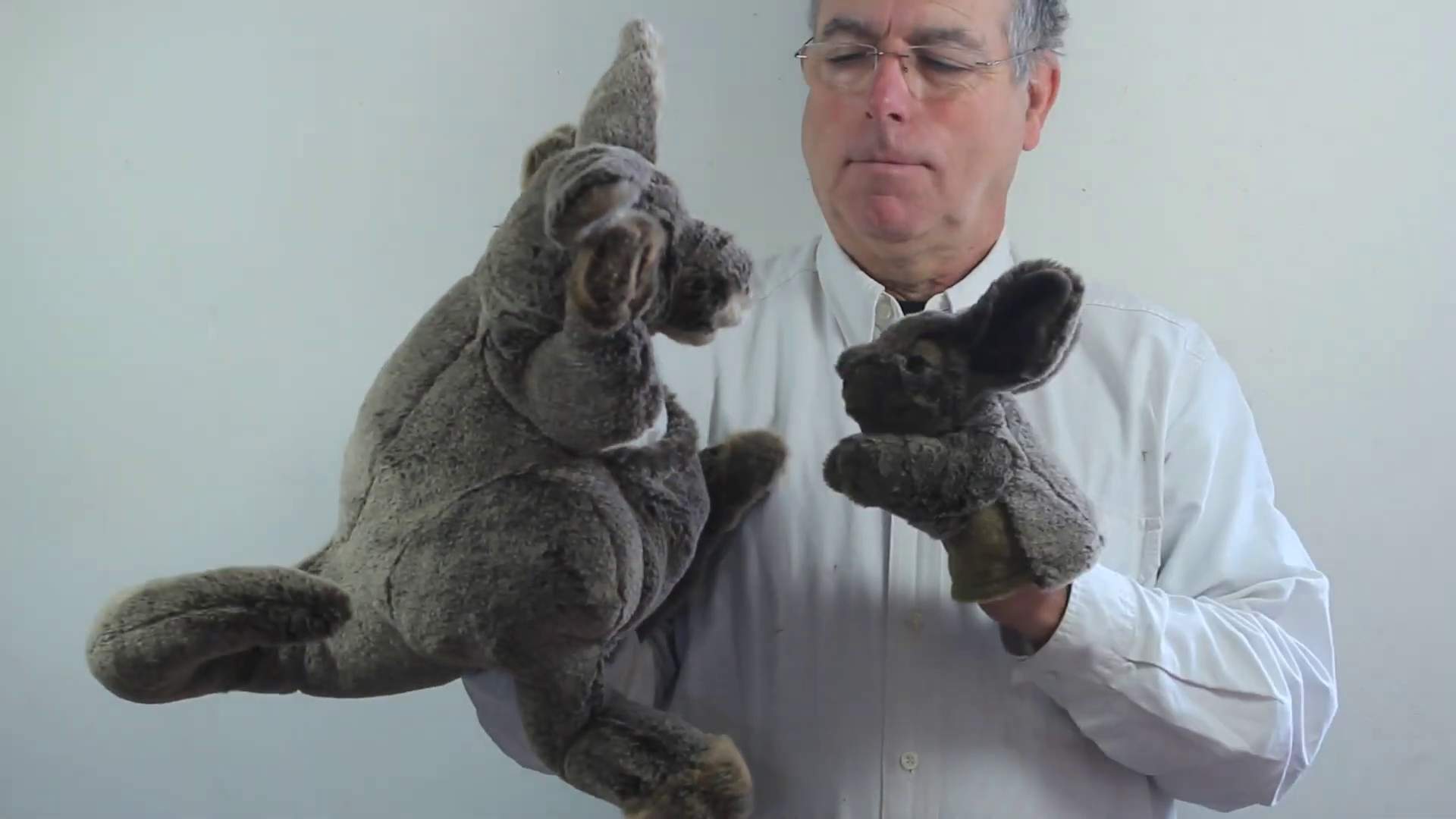 Video 1: Folkmanis Handpuppe Känguru mit Baby