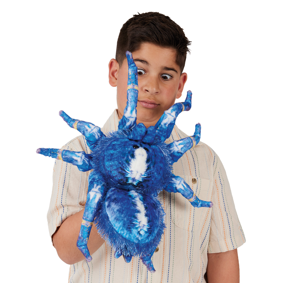 Folkmanis Handpuppe Blaue Ornament-Vogelspinne Folkmanis Handpuppe Blaue Ornament-Vogelspinne - Produktbild 5