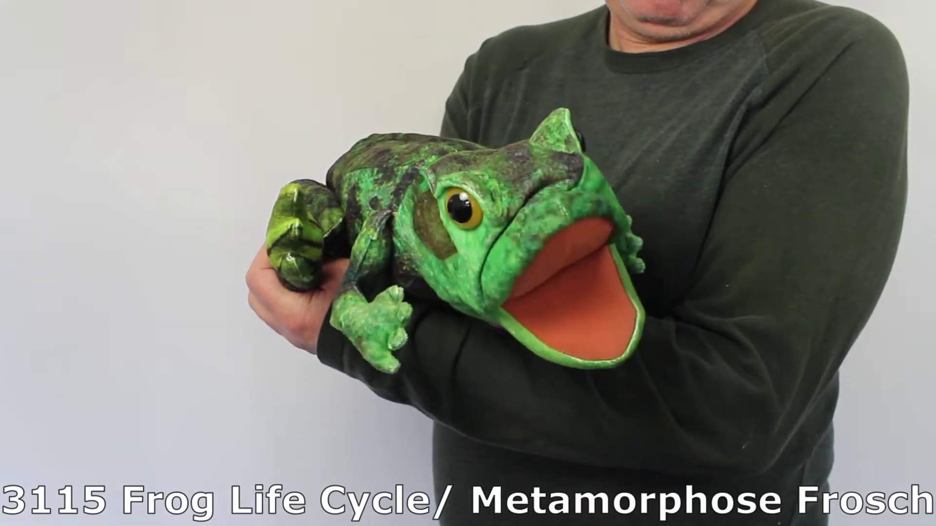 Video 1: Folkmanis Handpuppe Metamorphose Frosch
