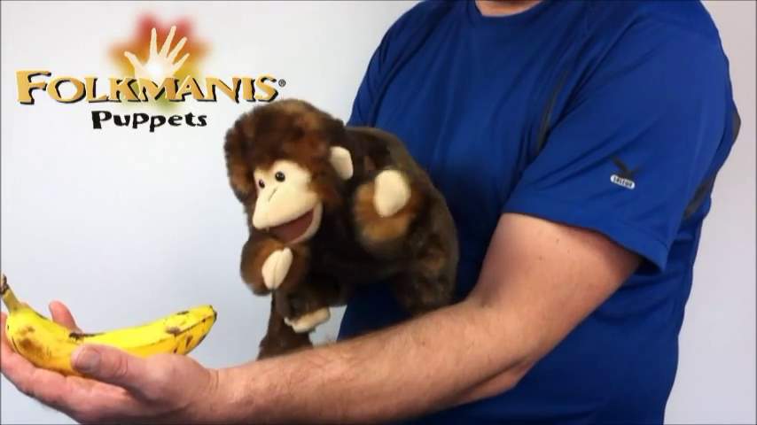 Video 2: Folkmanis Monkey Hand Puppet