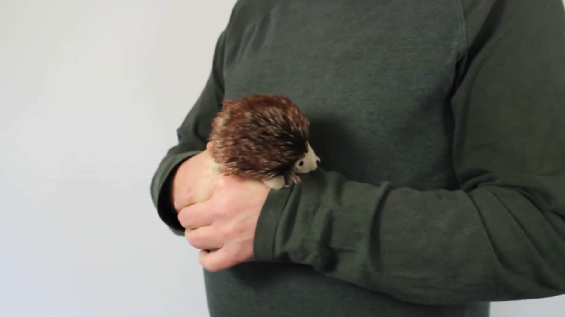 Video 1: Folkmanis Mini Hedgehog Finger Puppet