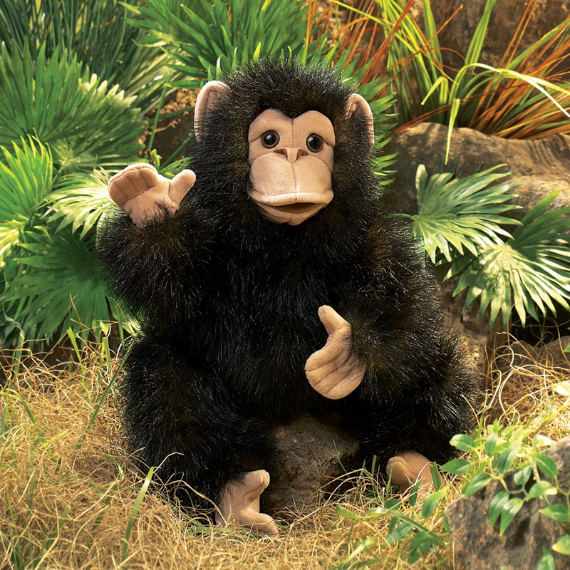 Folkmanis baby chimpanzee hand puppet with black plush fur, beige face and raised hand, seated in front of palm leaves
