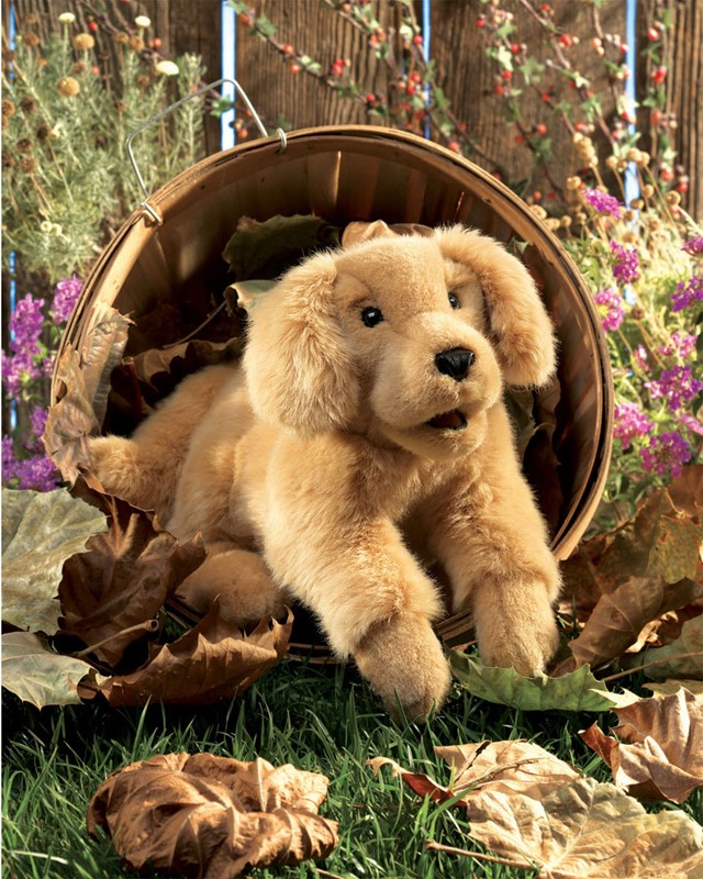 Folkmanis Handpuppe Golden Retriever Baby Folkmanis Handpuppe Golden Retriever Baby - Produktbild 3