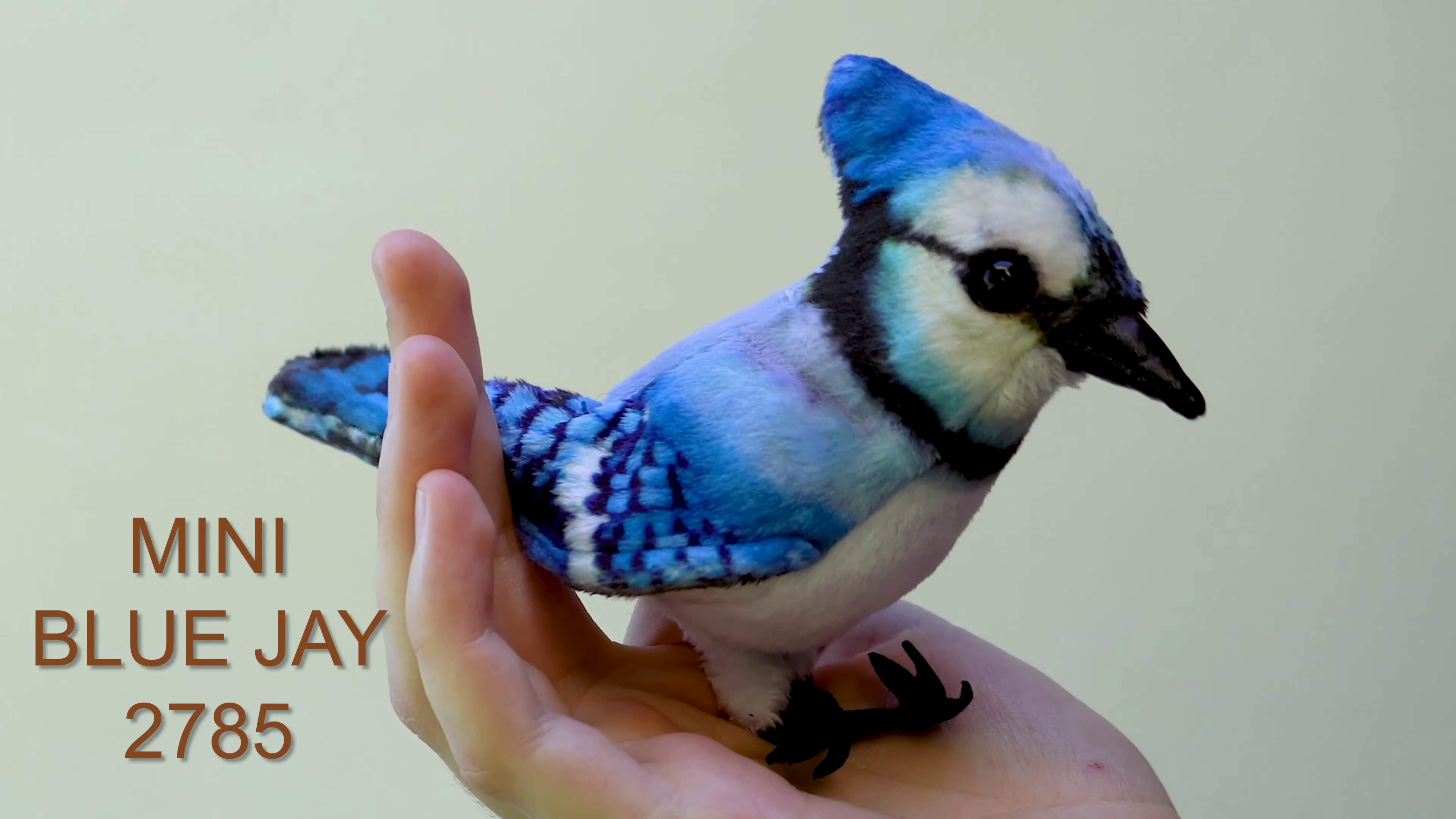 Video 1: Folkmanis Fingerpuppe mini Blauhäher