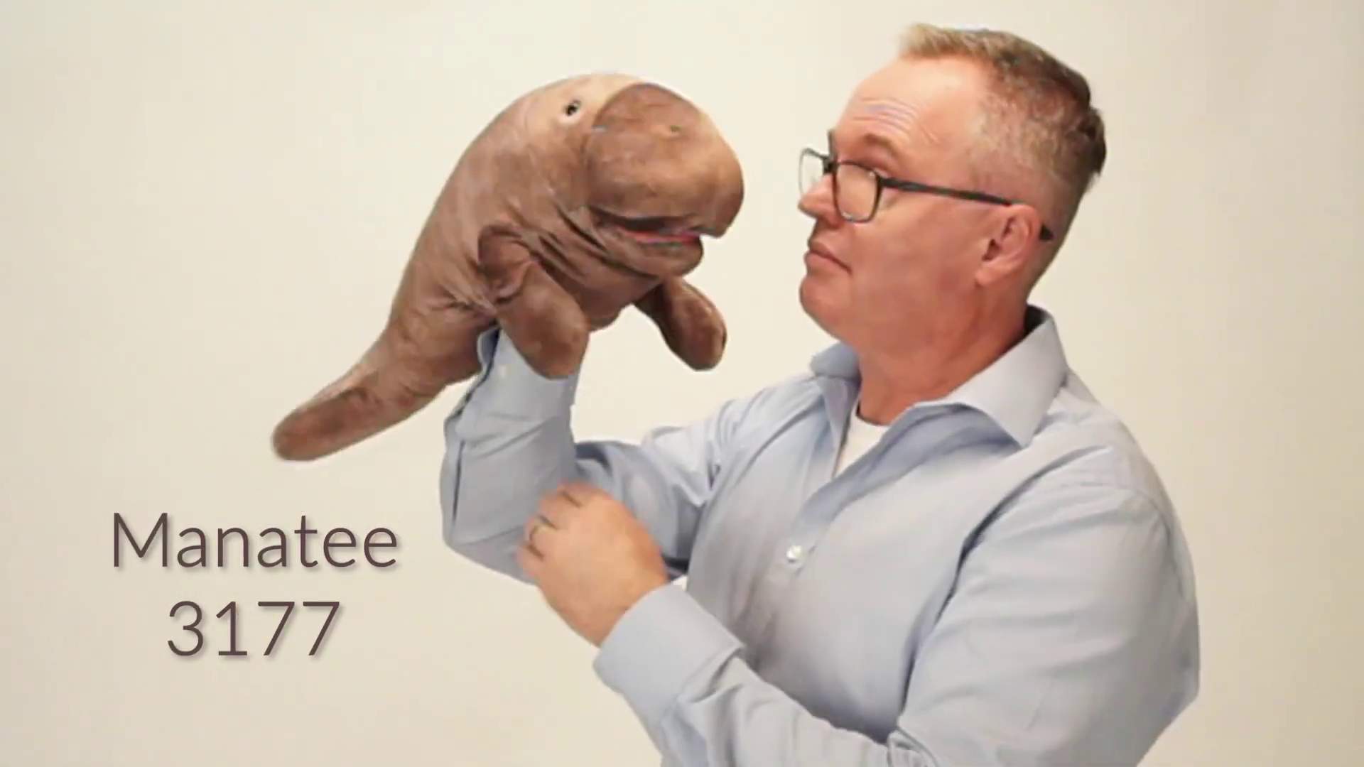 Video 2: Folkmanis Handpuppe Seekuh