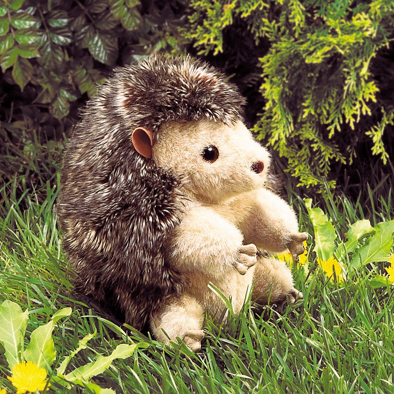 Folkmanis Handpuppe Igel mit dunkelbraunem Stachelrücken und hellbeigem Bauchfell, aufrecht sitzend im Gras