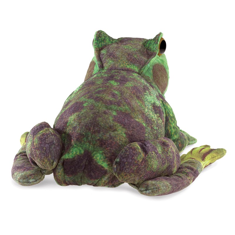 Folkmanis Frog Life Cycle Hand Puppet Folkmanis Frog Life Cycle Hand Puppet - Produktbild 2