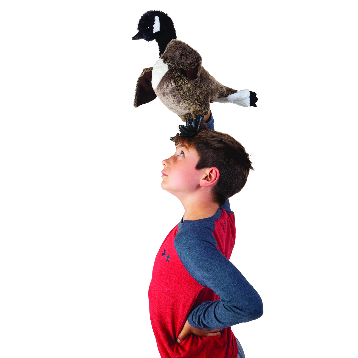 Folkmanis Canada Goose Hand Puppet Folkmanis Canada Goose Hand Puppet - Produktbild 5