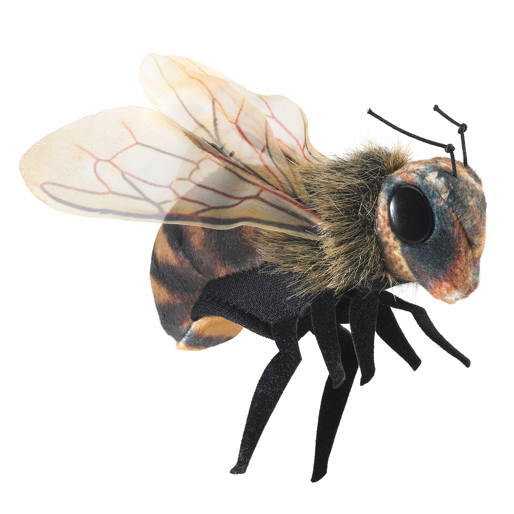 Folkmanis mini bee finger puppet in side view with translucent veined wings, furry striped body and black legs