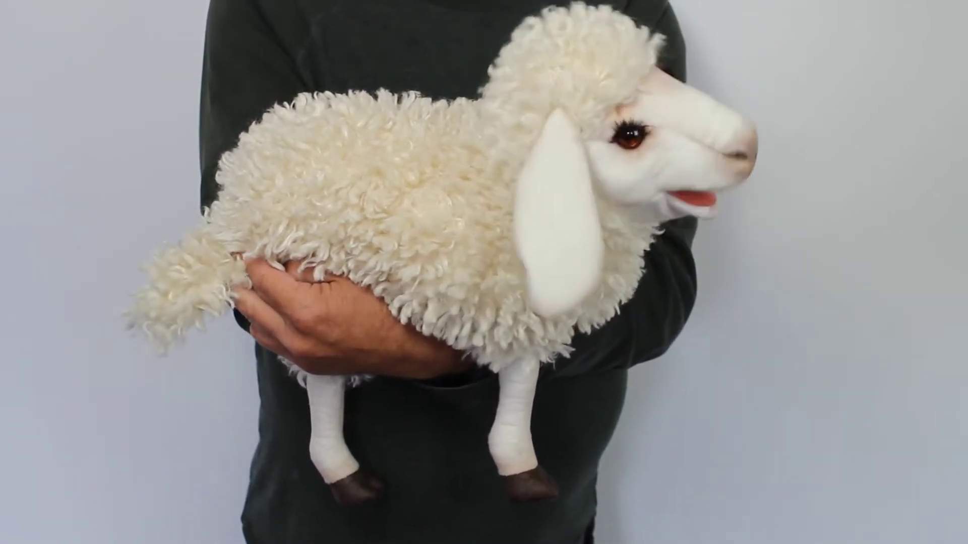 Folkmanis Handpuppe Wolliges Schaf Demo