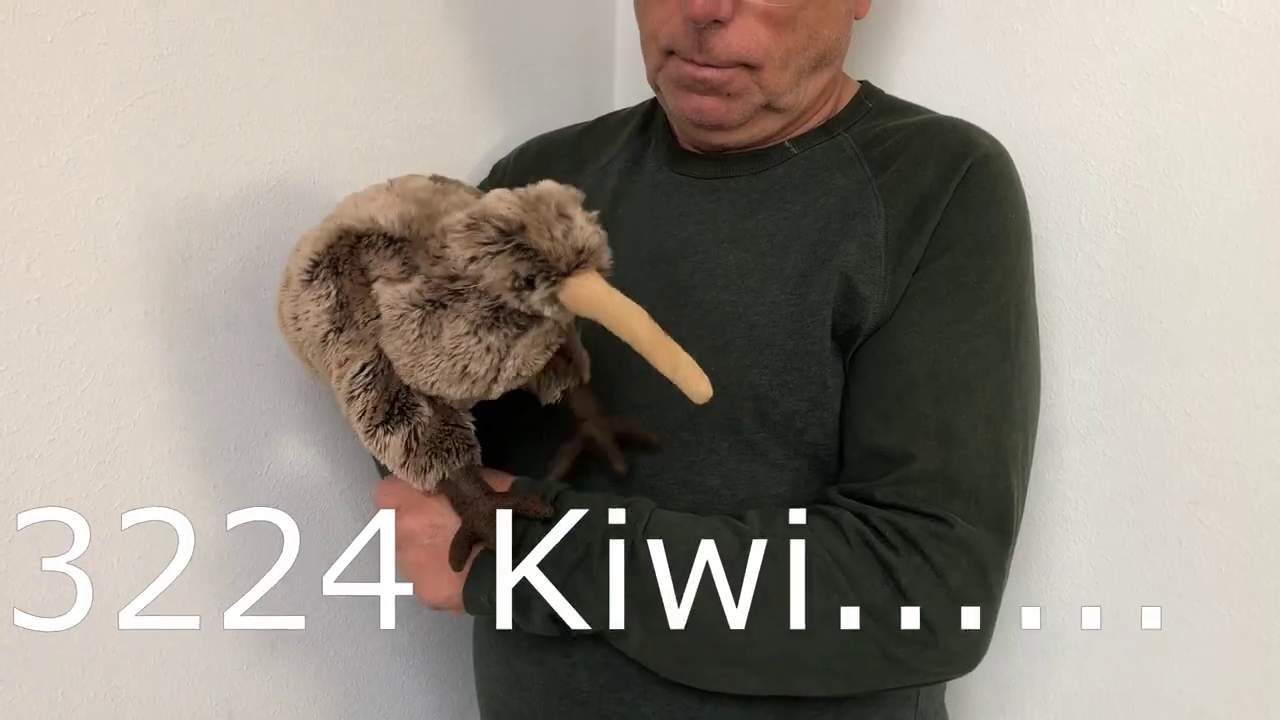 Folkmanis Handpuppe Kiwi Demo