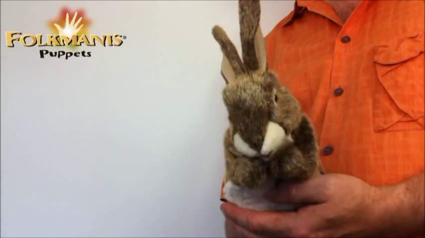 Video 1: Folkmanis Handpuppe kleiner Hase (kleine Stage Puppet)