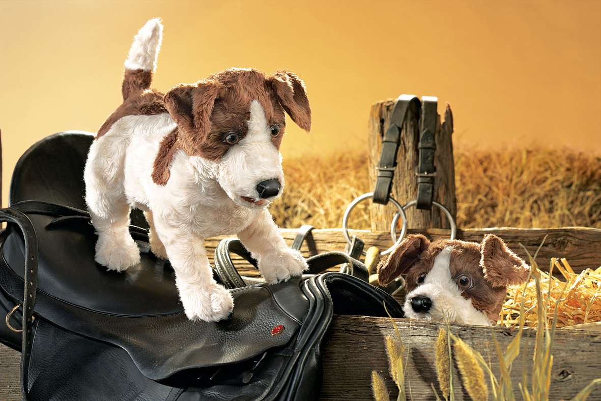 Folkmanis Handpuppe Jack Russell Terrier Folkmanis Handpuppe Jack Russell Terrier - Produktbild 3