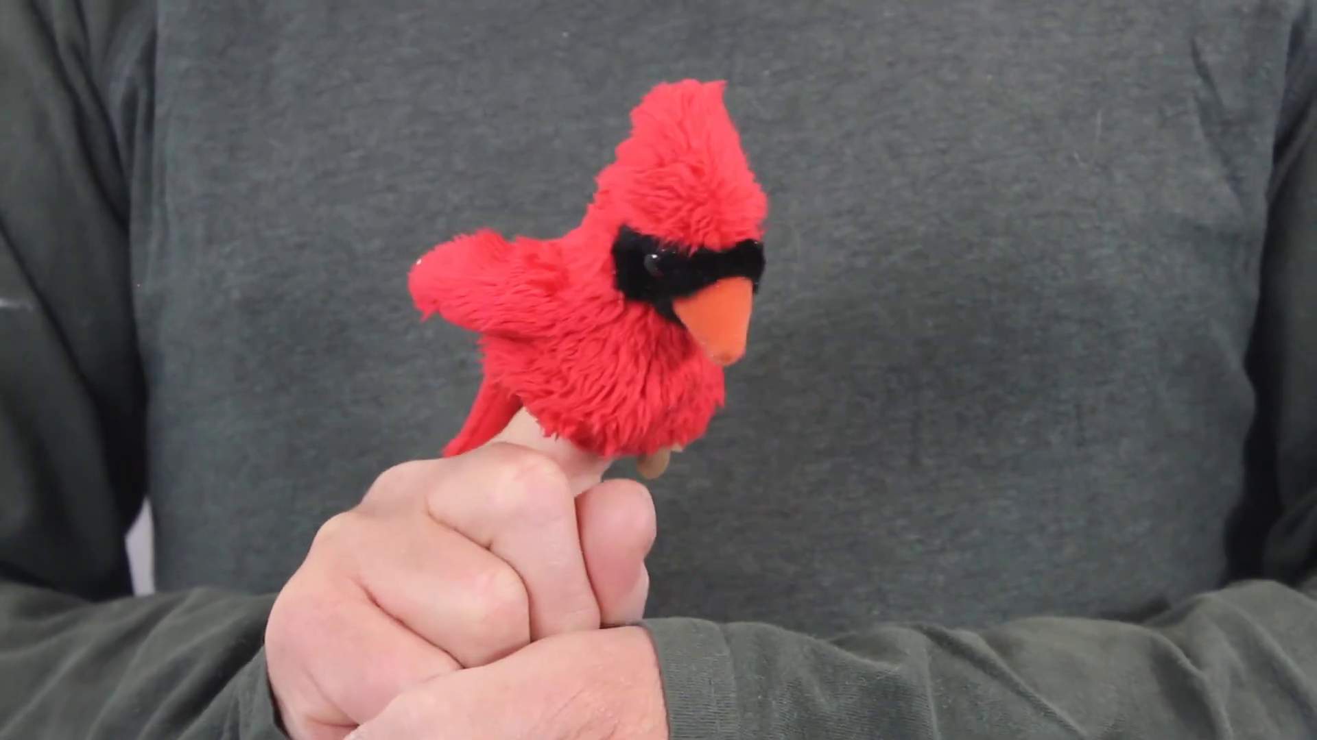 Video 1: Folkmanis Fingerpuppe mini Kardinalvogel