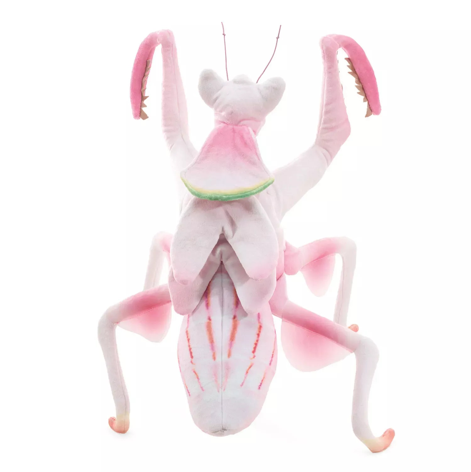 Folkmanis Handpuppe Kronenfangschrecke Folkmanis Handpuppe Kronenfangschrecke - Produktbild 3