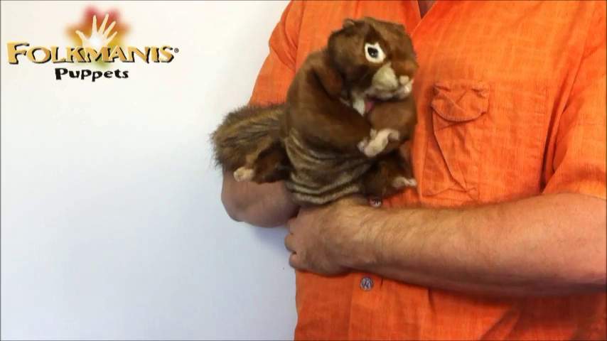Video 2: Folkmanis Red Squirrel Hand Puppet