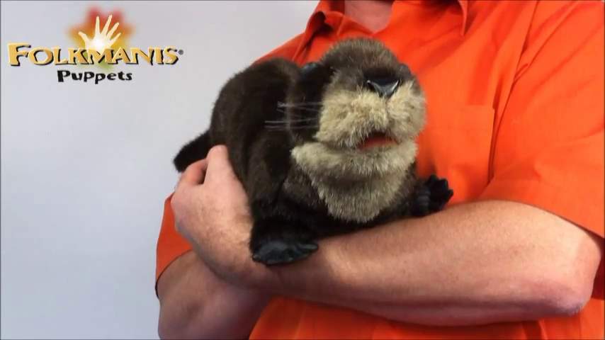 Video 2: Folkmanis Handpuppe Flussotter