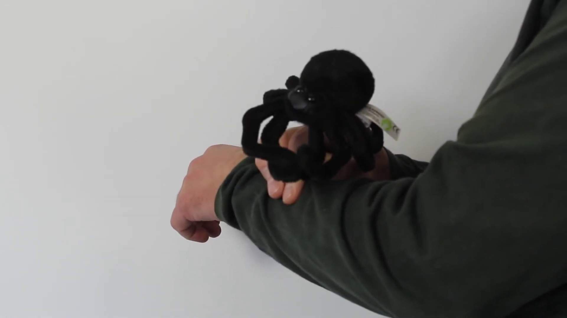 Video 1: Folkmanis Fingerpuppe mini Spinne
