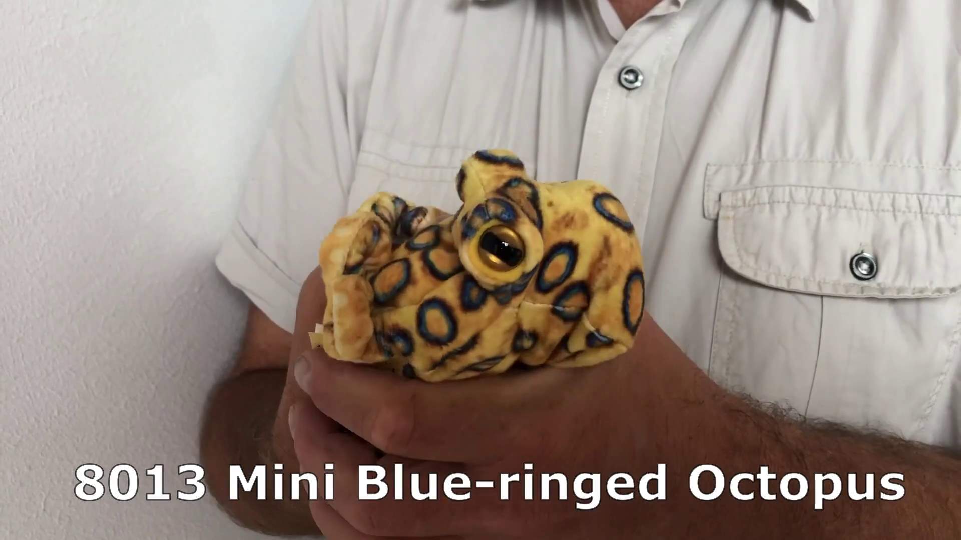 Video 1: Folkmanis Fingerpuppe mini blaugeringelte Krake