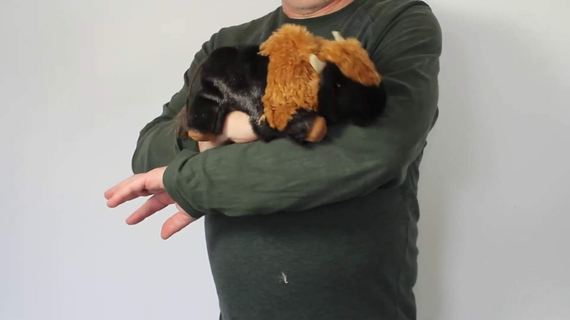 Video 1: Folkmanis Small Bison Hand Puppet