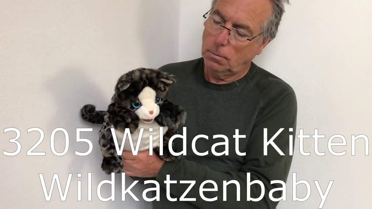 Video 2: Folkmanis Wildcat Kitten Hand Puppet