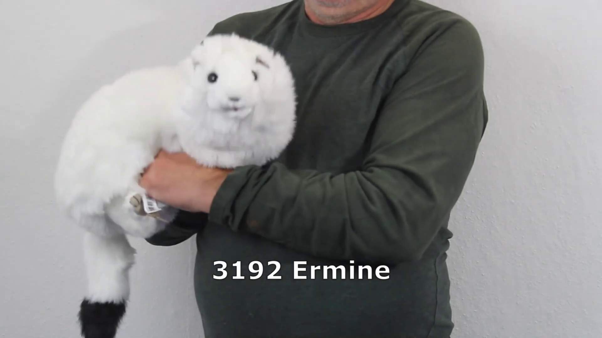 Folkmanis Handpuppe Hermelin Demo