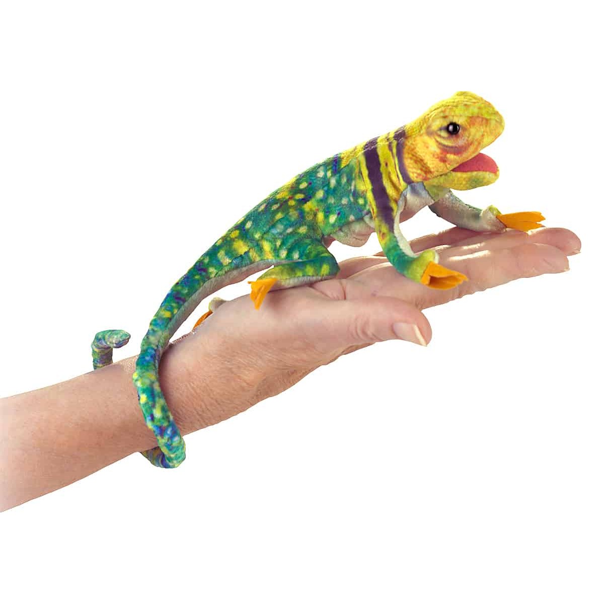 Folkmanis Fingerpuppe mini Halsbandleguan in Grün-Gelb mit lila Streifen, auf einem Finger sitzend, langer geringelter Schwanz
