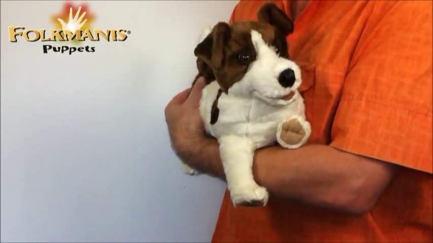 Video 2: Folkmanis Jack Russell Terrier Hand Puppet