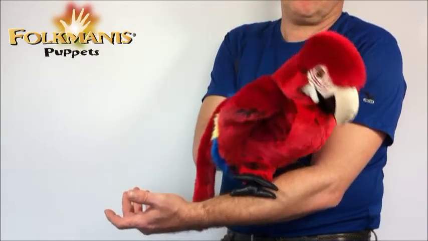 Video 2: Folkmanis Handpuppe Papagei / Ara