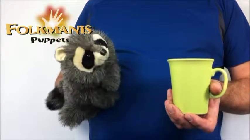 Video 2: Folkmanis Handpuppe Baby Waschbär