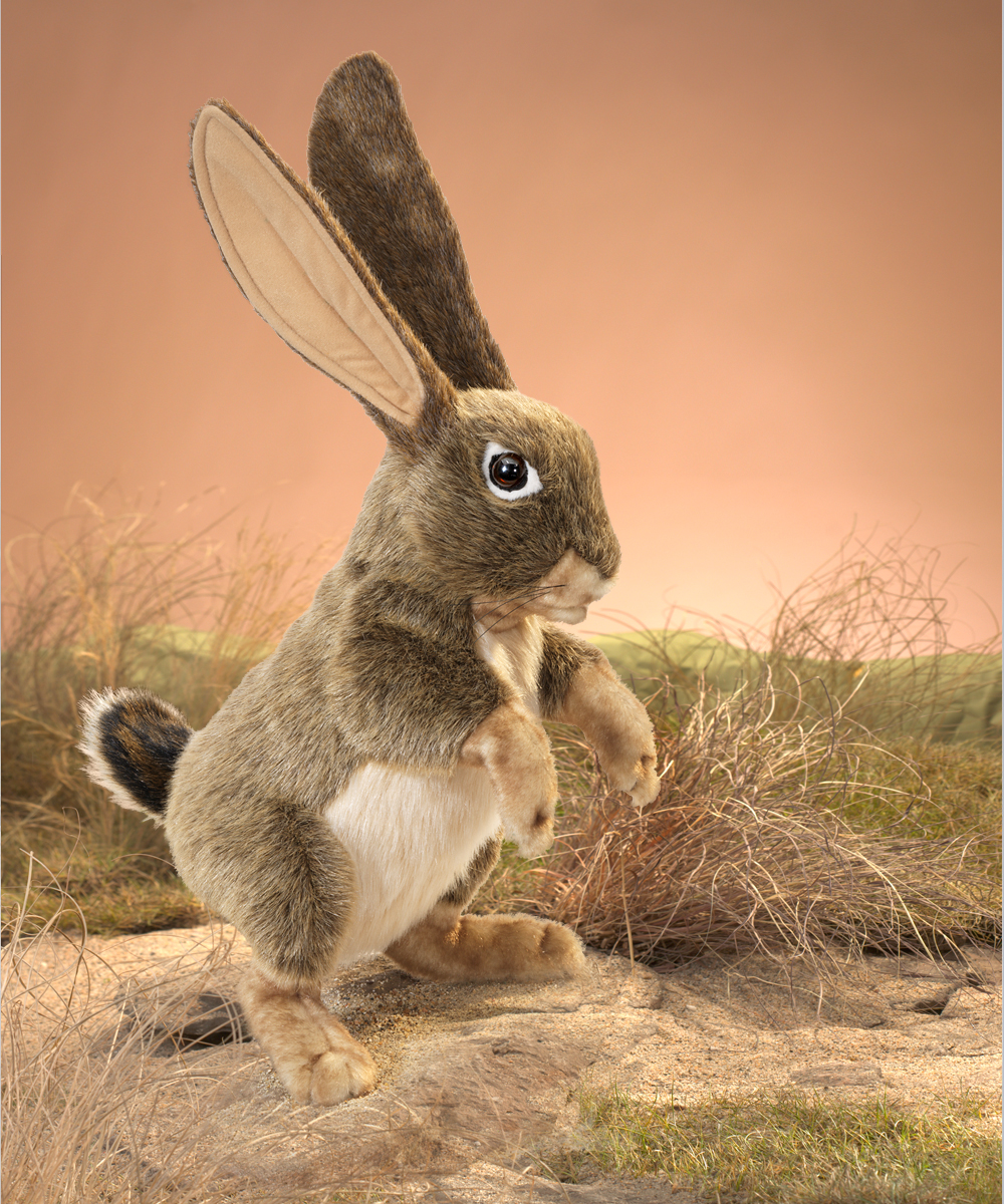 Folkmanis jack rabbit hand puppet in brown tones, standing upright with long ears and a white belly, side view against a desert backdrop