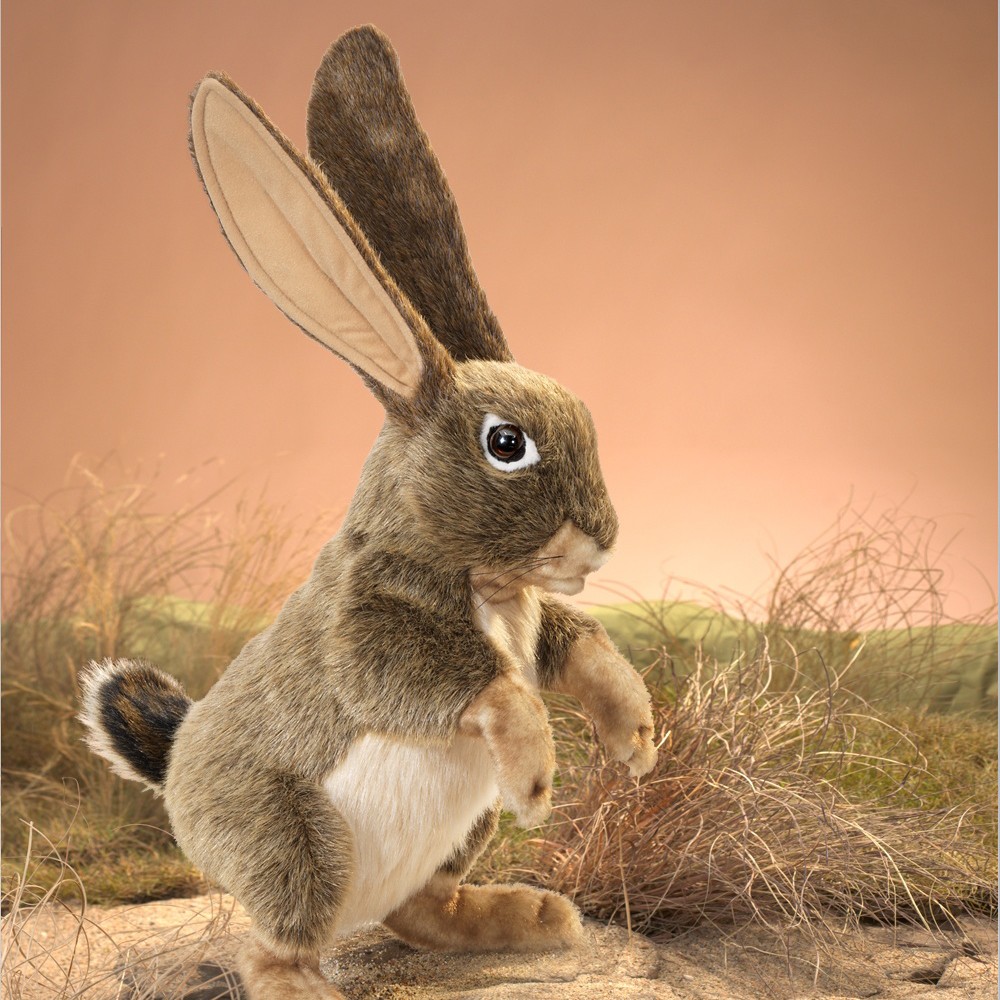 Folkmanis jack rabbit hand puppet in brown tones, standing upright with long ears and a white belly, side view against a desert backdrop