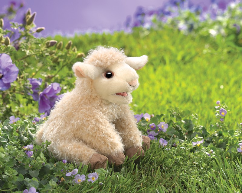 Folkmanis hand puppet small lamb with cream curly plush and brown hooves, sitting on a flower meadow