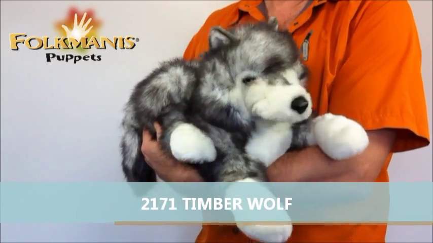 Video 2: Folkmanis Handpuppe Polarwolf