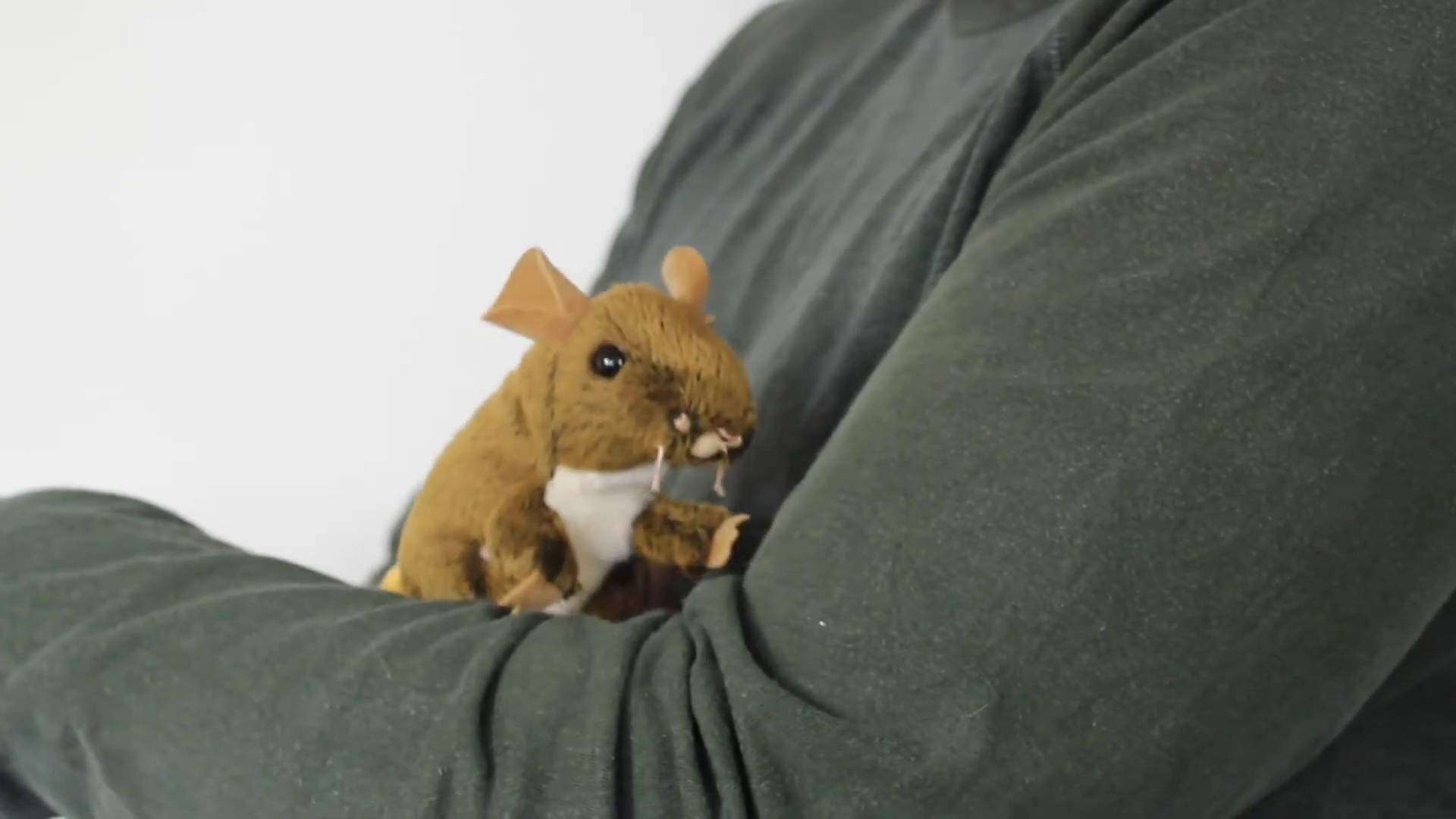 Video 1: Folkmanis Fingerpuppe mini Feldmaus