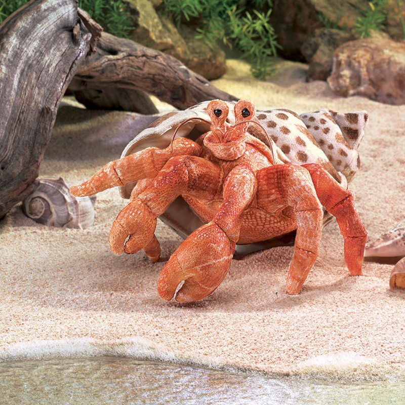 Folkmanis Handpuppe Einsiedlerkrebs in Orange-Rot mit strukturierter Oberfläche, aus gepunkteter Schneckenhaus-Hülle herausragend, Sandstrand-Kulisse