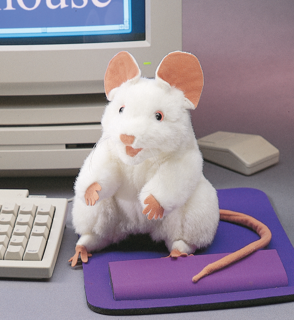 Folkmanis white mouse hand puppet with pink ears and a long tail, sitting upright on a purple mouse pad in front of a PC monitor