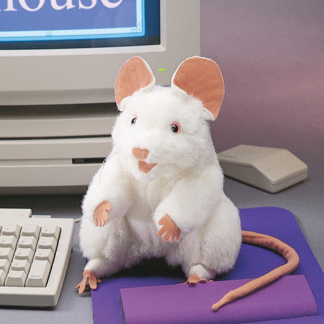 Folkmanis white mouse hand puppet with pink ears and a long tail, sitting upright on a purple mouse pad in front of a PC monitor