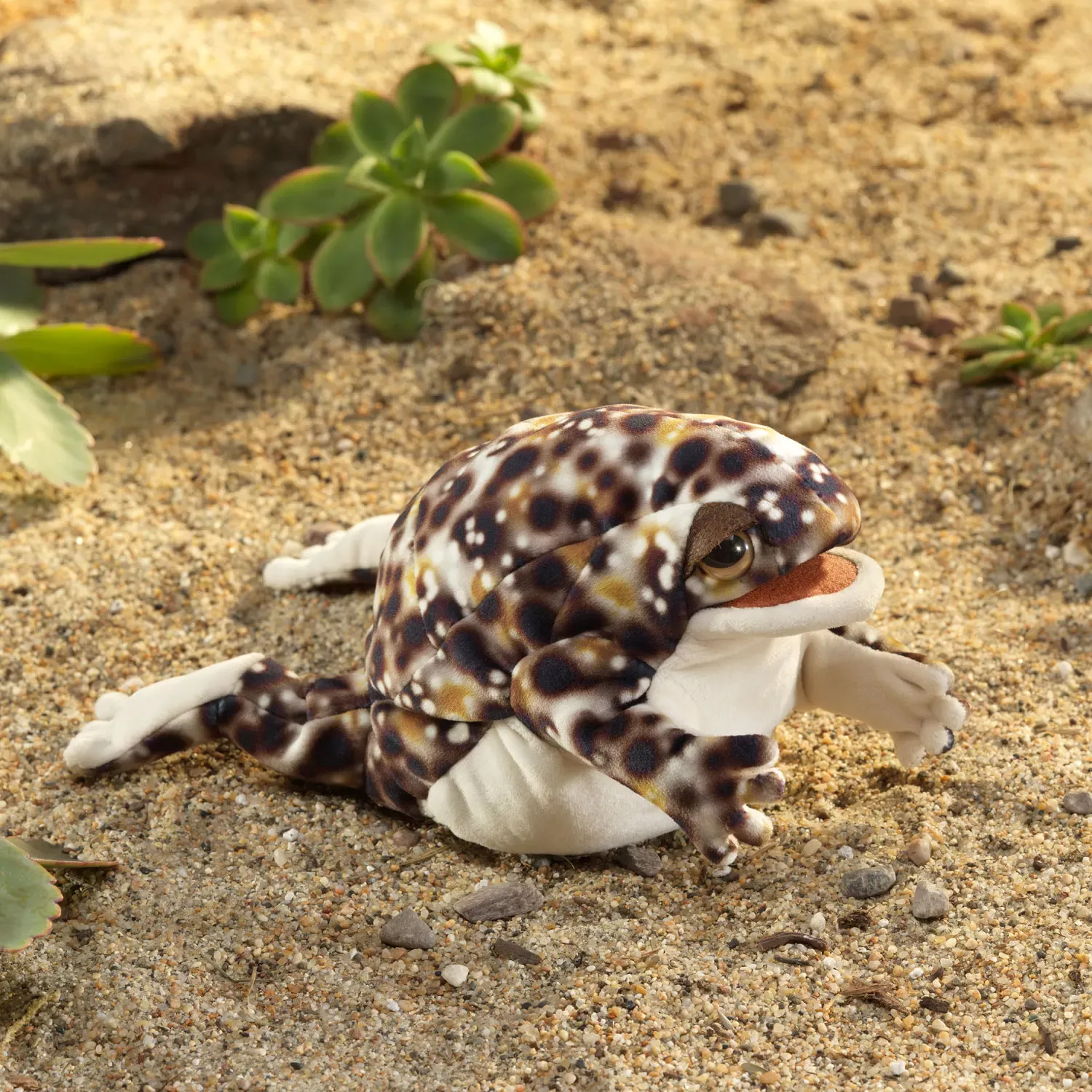 Folkmanis Desert Rain Frog hand puppet with dark brown spotted pattern and cream-coloured belly, lying on sand among succulents